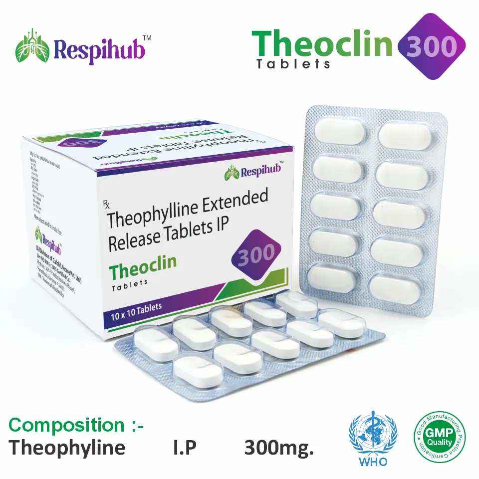 Theophylline 300mg Tablet PCD Pharma Franchise